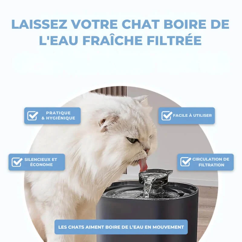 Fontaine a eau pour chat